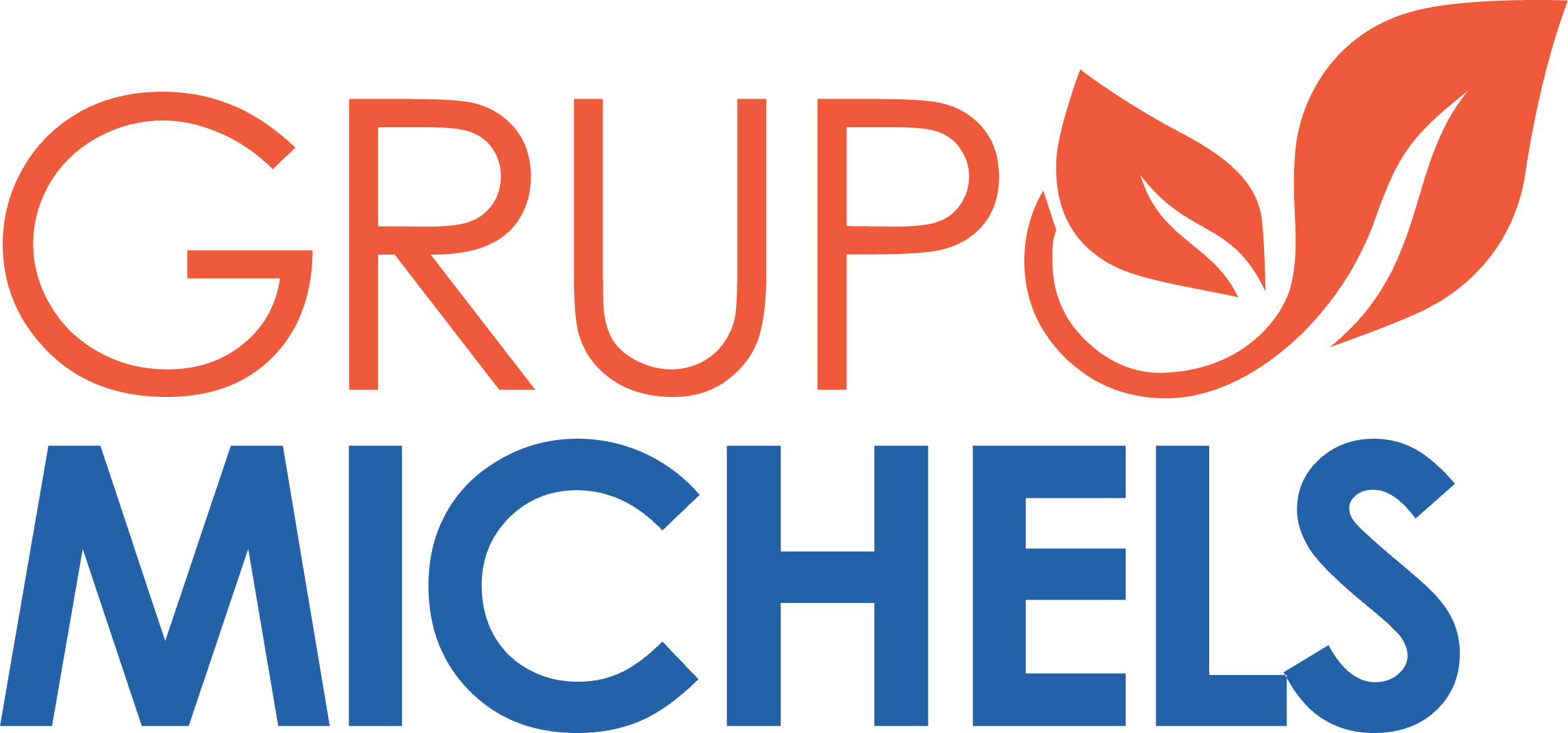 Grupo Michels